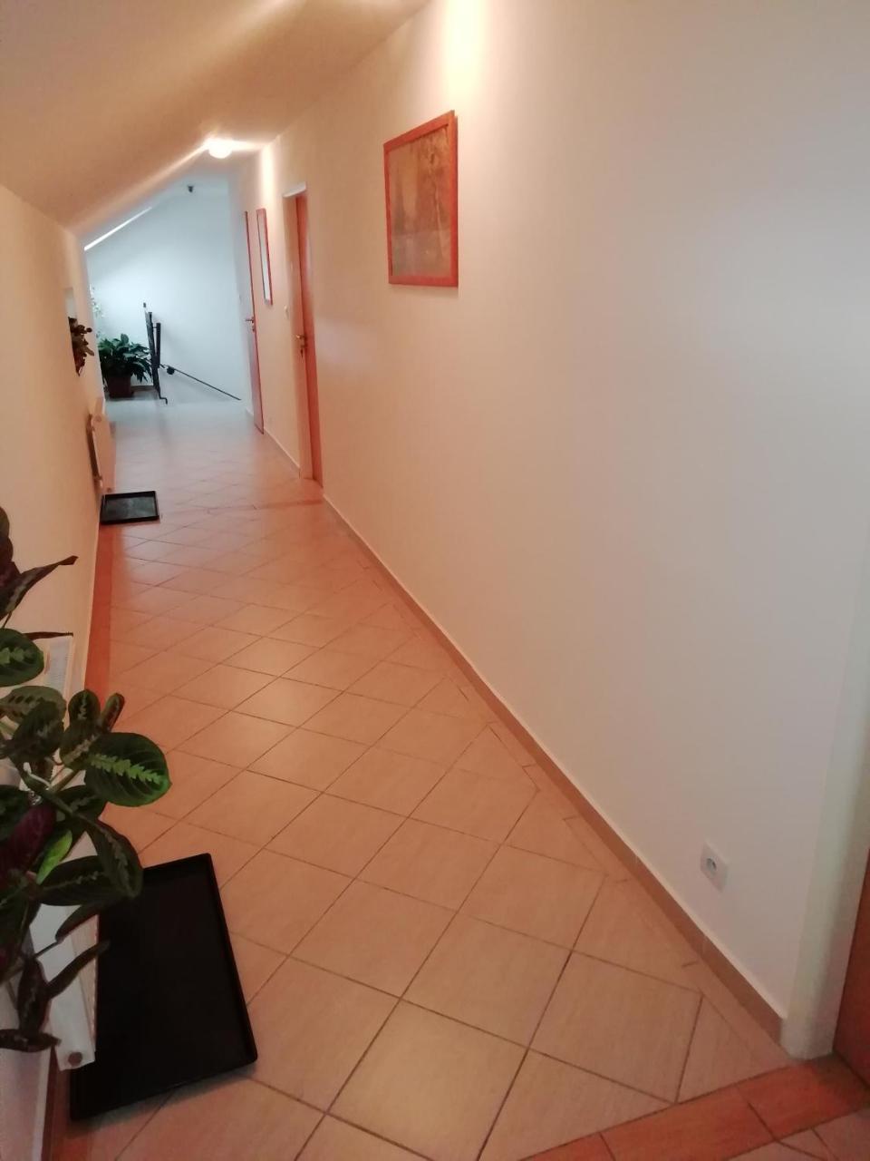 Проживання в сім'ї Privat Kompisovci *